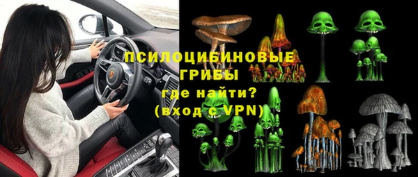 ГАЛЛЮЦИНОГЕННЫЕ ГРИБЫ Володарск